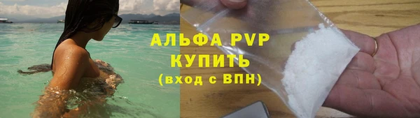 гидра Белая Холуница