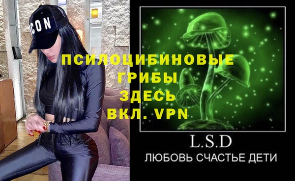 гашик Нефтекумск