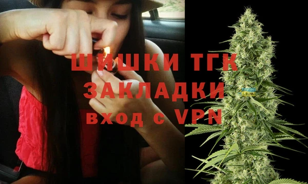 гидра Белая Холуница
