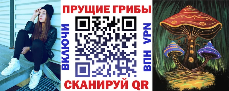 Галлюциногенные грибы Psilocybe  Лысково 